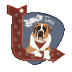 BarkCity Swag logo