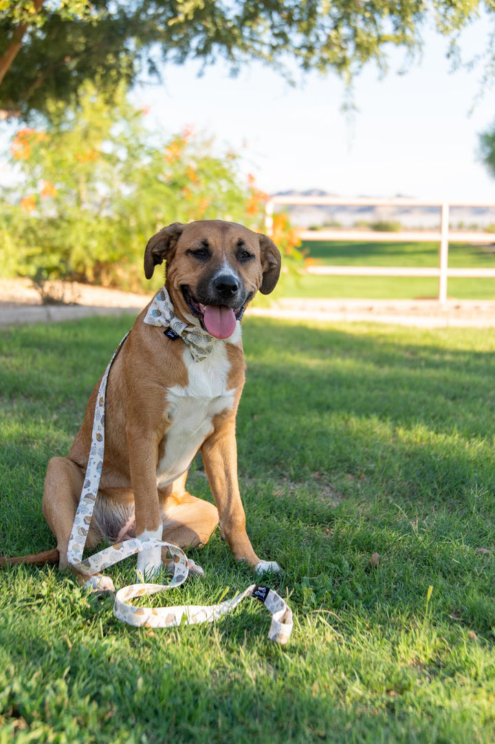 Acorns & Cream Leash
