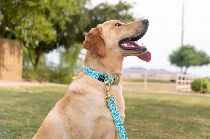 Blue Green Flower Power Collar