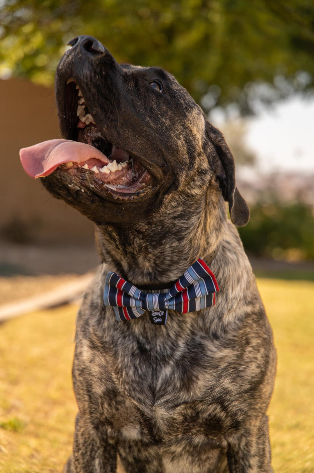 Classy Patriotic Stripes Bow
