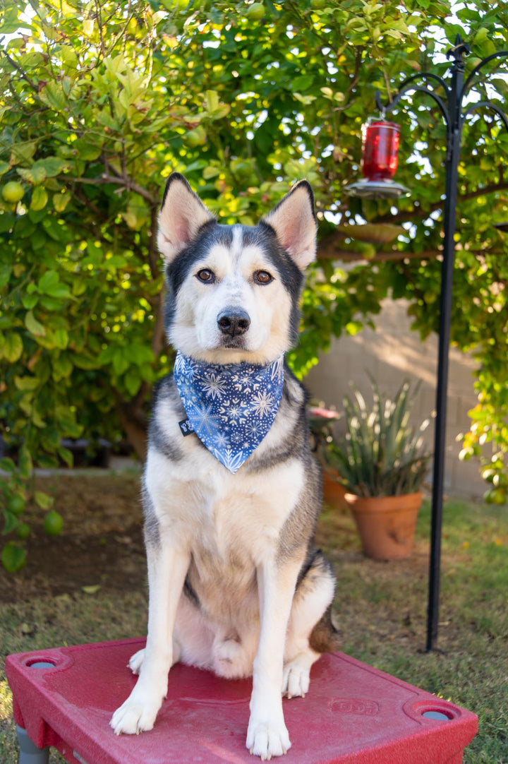 Silver Metallic Snowflakes
