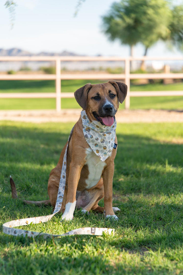 Acorns & Cream Bandana