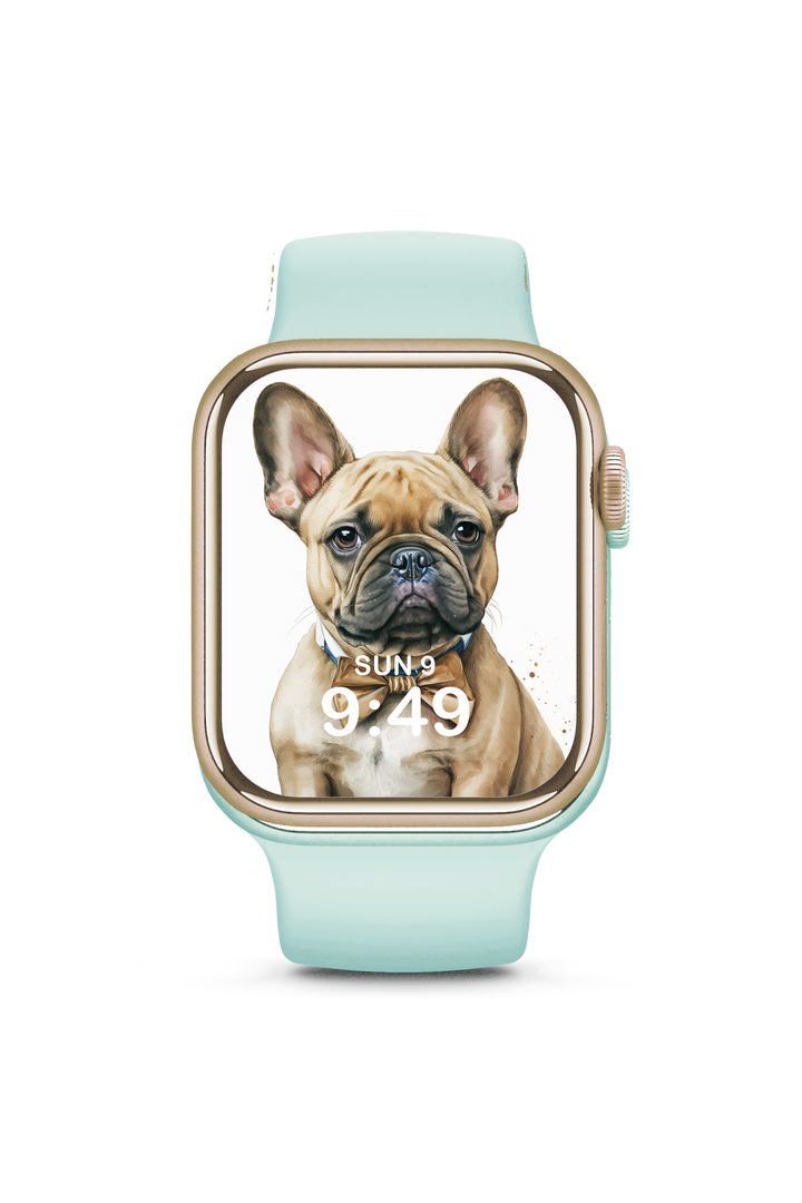 Frenchie #113 - Apple Watch Face Download