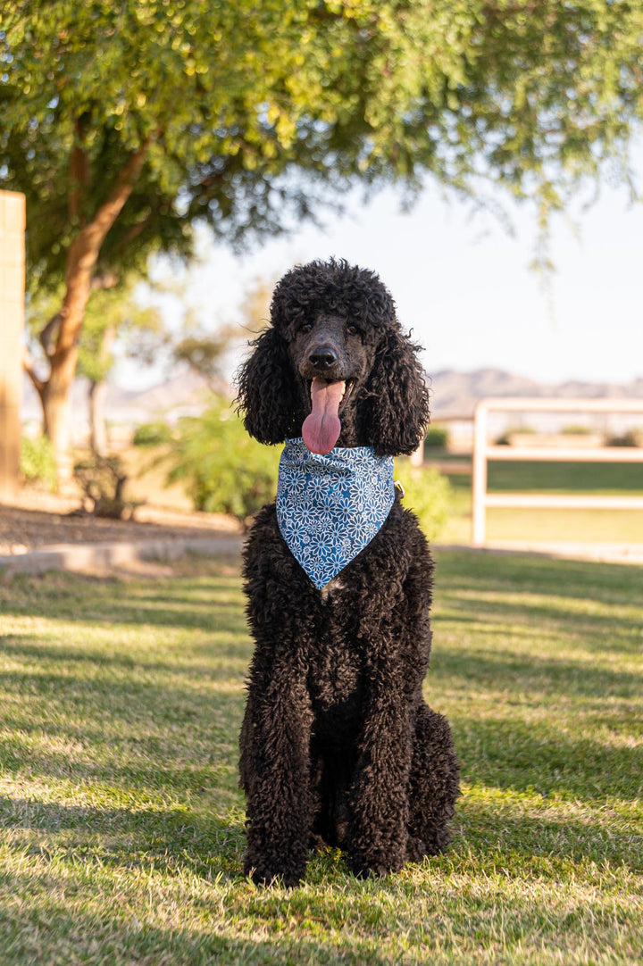 Blue Flower Power Bandana