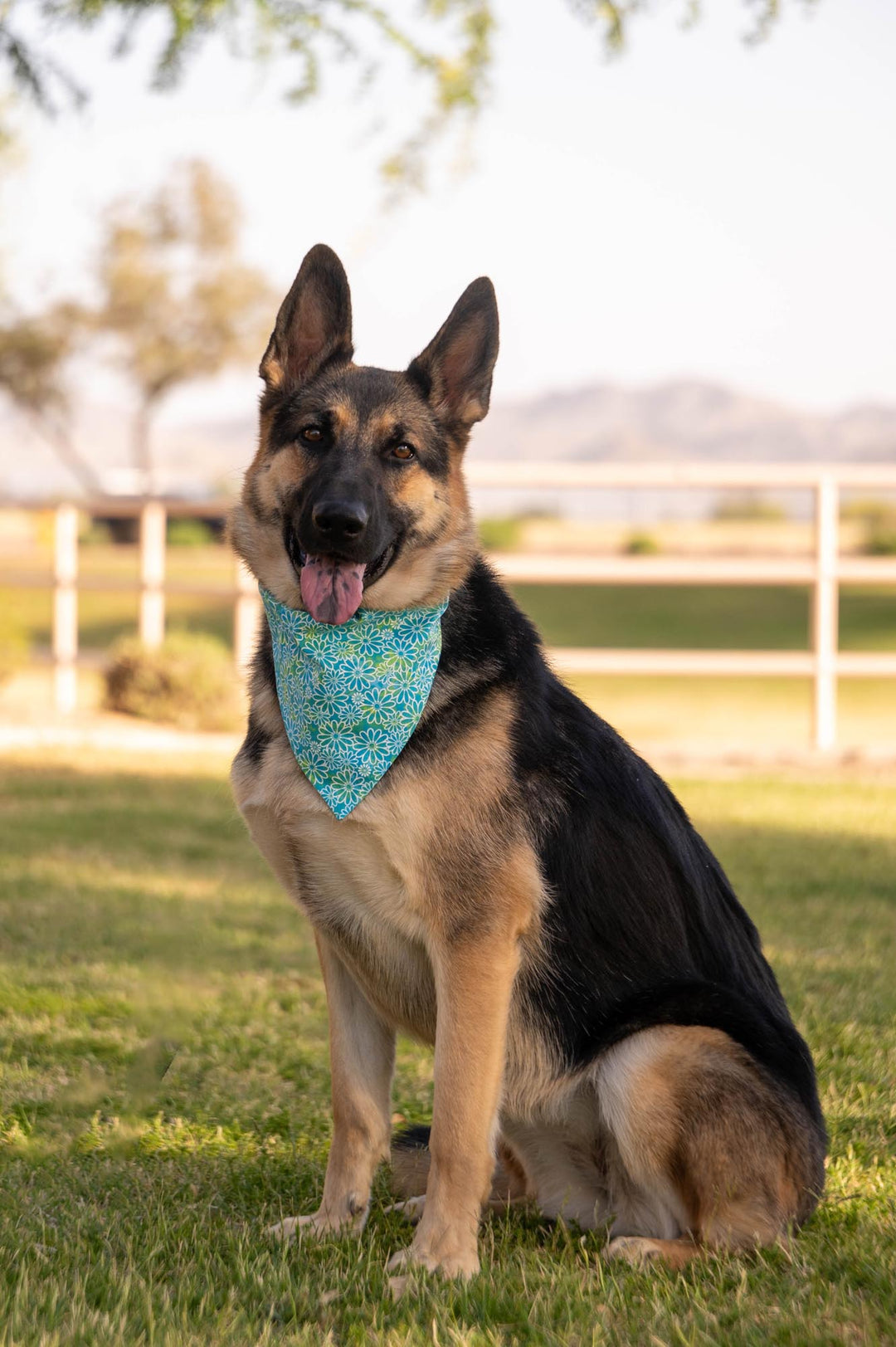 German Shepherd wearing bandana with blue green background and flowers