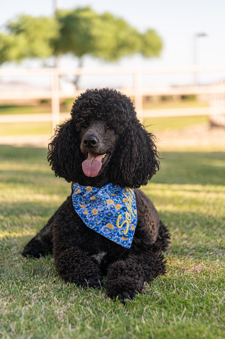 Blue & Yellow Flowers Bandana