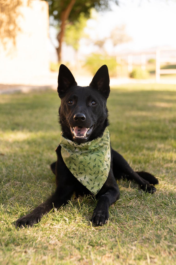 Camo Cactus Bandana