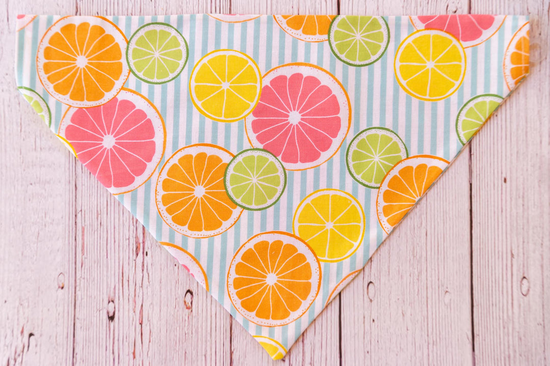 Citrus Explosion Bandana