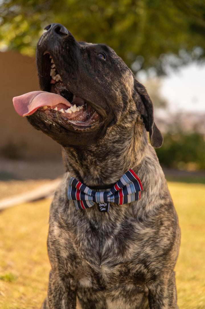 Classy Patriotic Stripes Bow