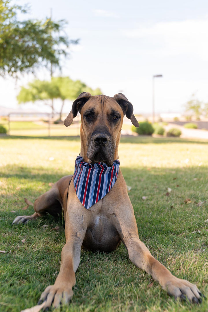 Classy Patriotic Stripes Bandana