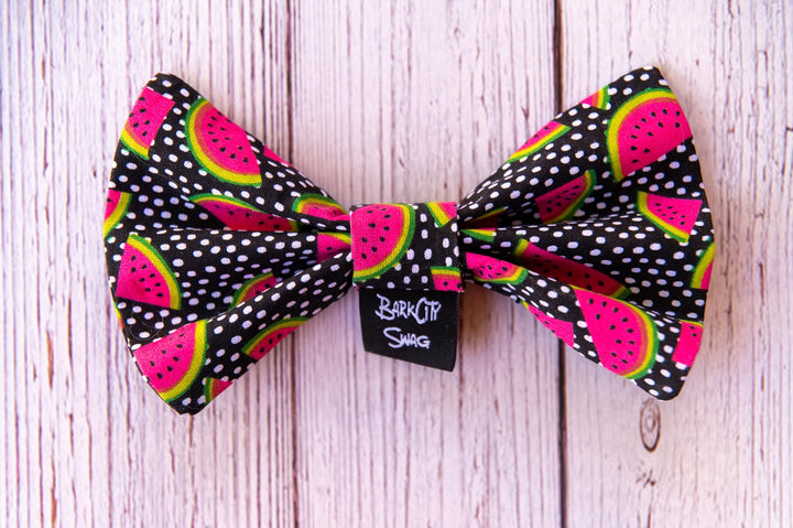 Crazy for Watermelon Bow