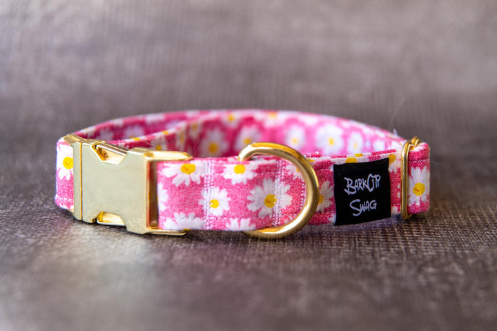 Daisies on Pink Collar