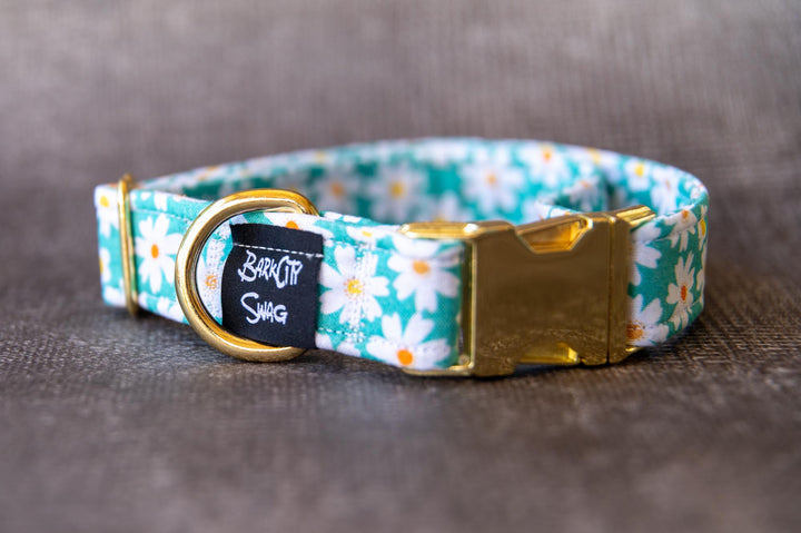 Teal Dasies Collar