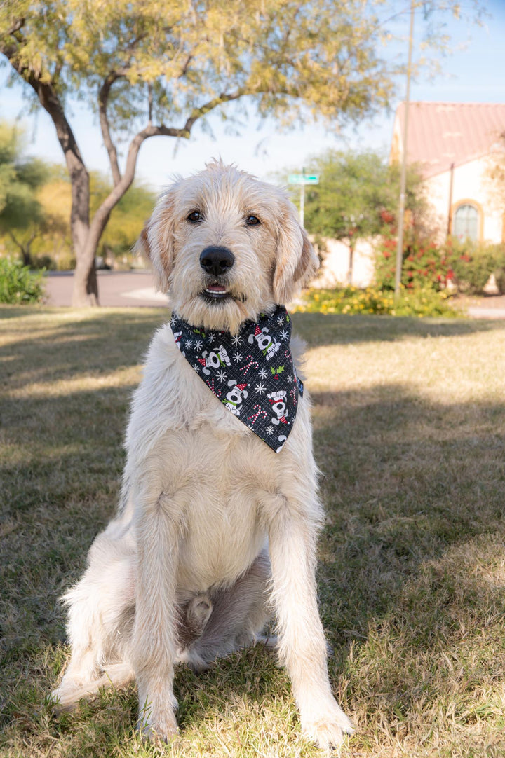 Festive Pups