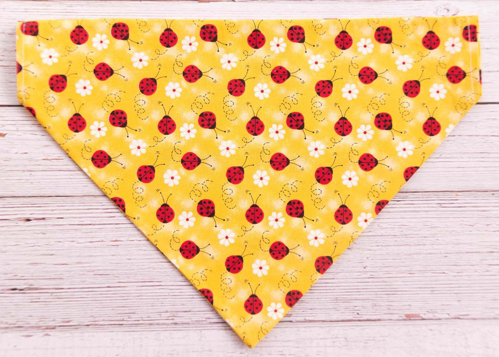 bright yellow dog bandana with red lady bugs and white flowers