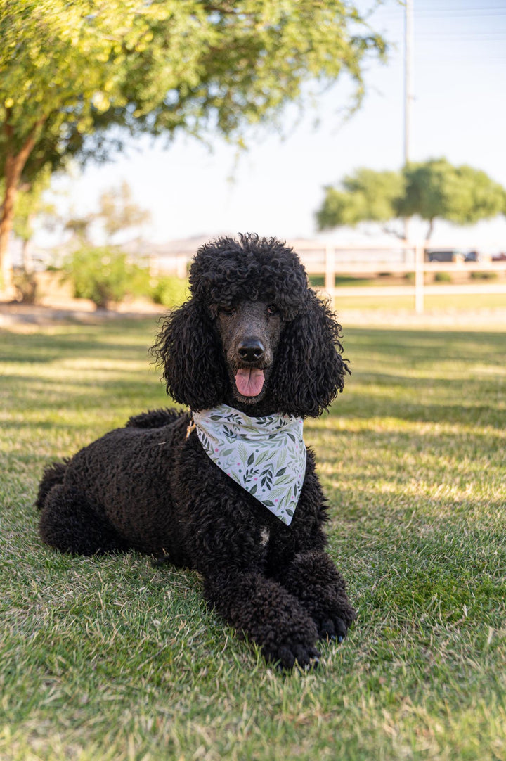 Leaves with Dots Bandana