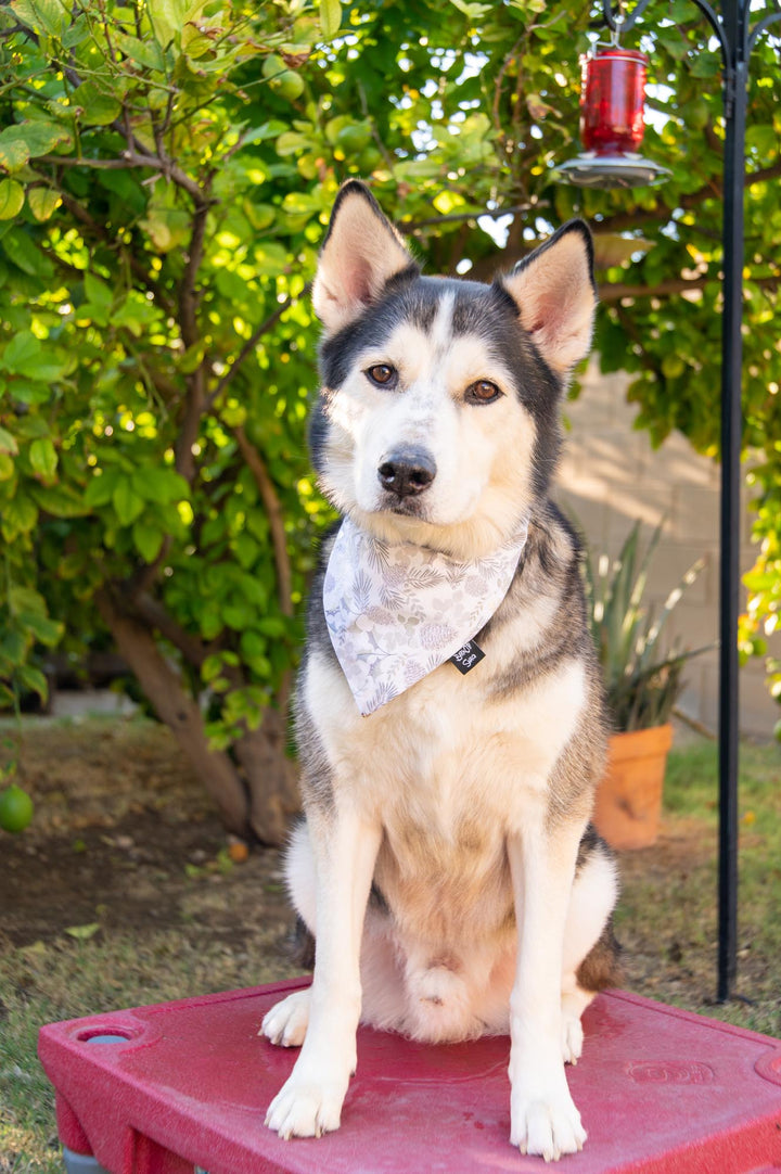 Metallic Winter Pine