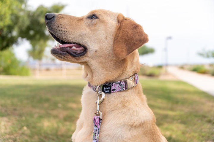 Mystery Machine Flower Power Collar