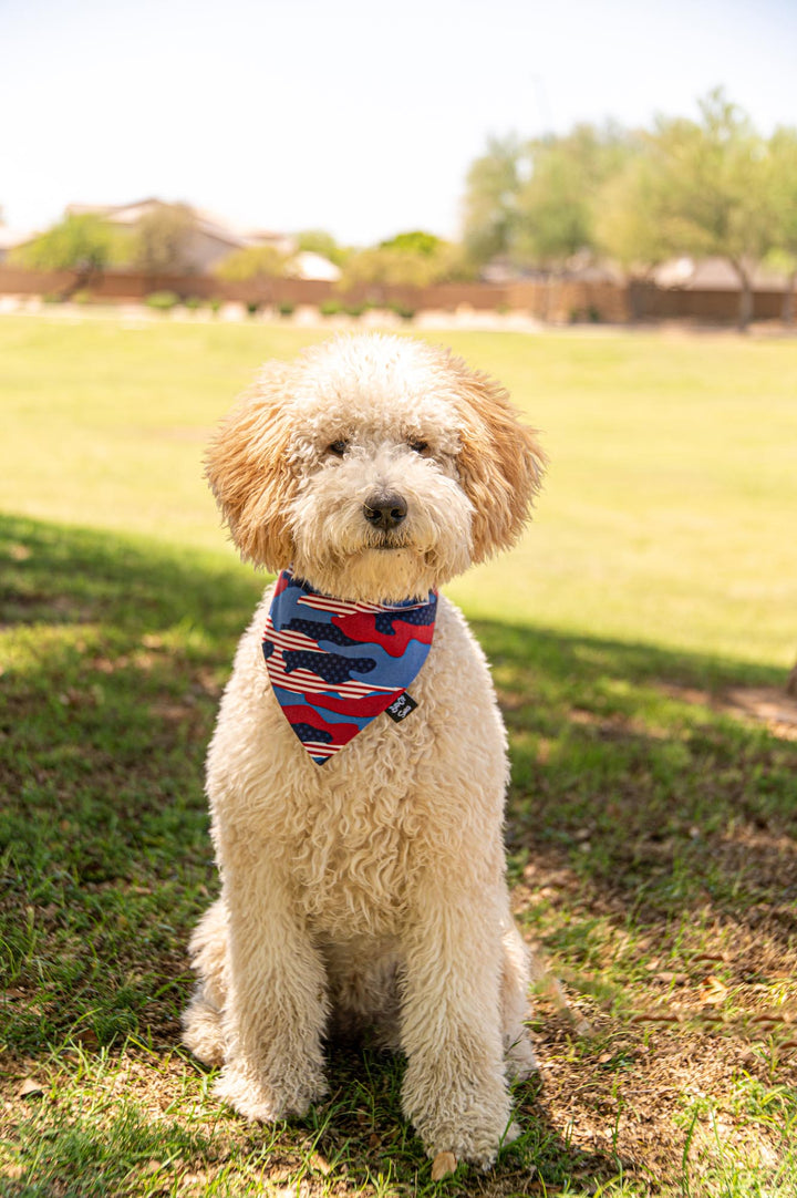 Patriotic Cammo Bandana