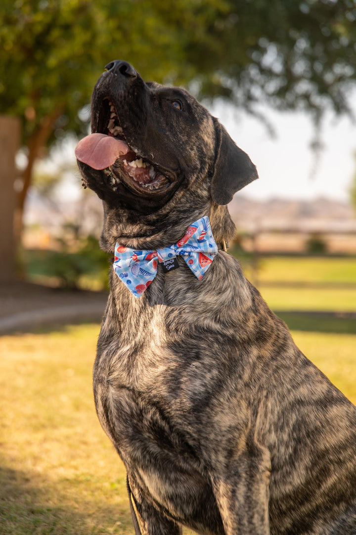 Patriotic Popsicles Bow