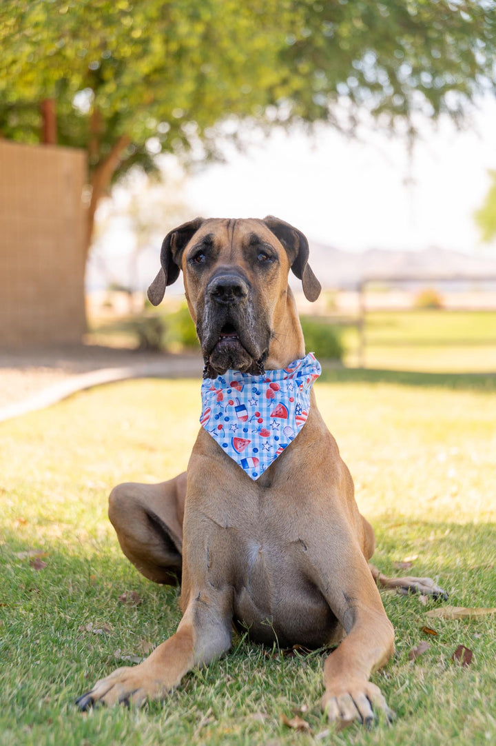 Patriotic Popsicles Bandana