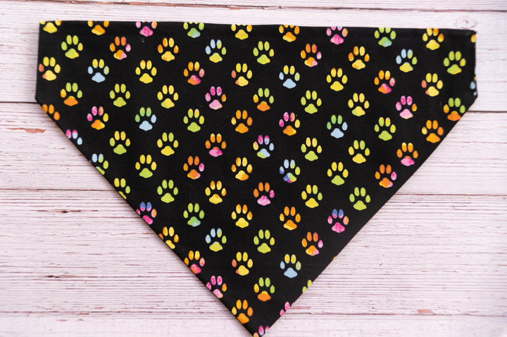 black dog bandana with rainbow colored dog paw prints