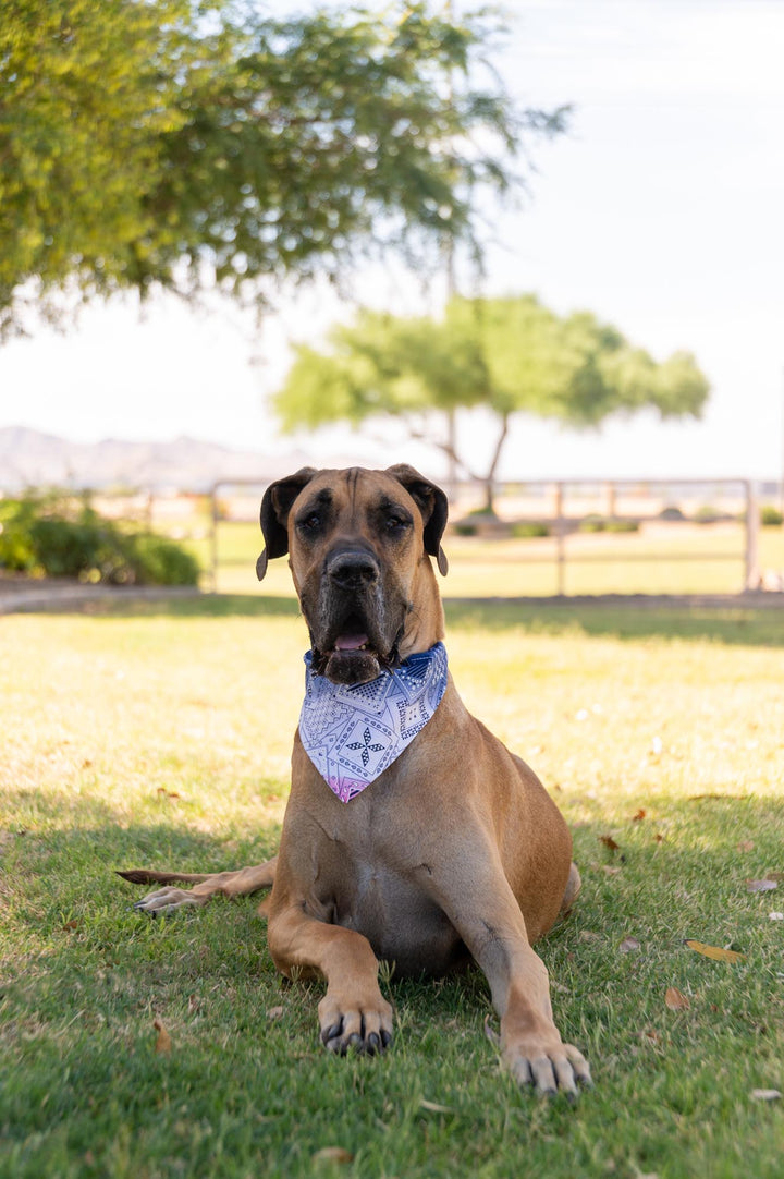 Red, White, and Blue Ombre Bandana