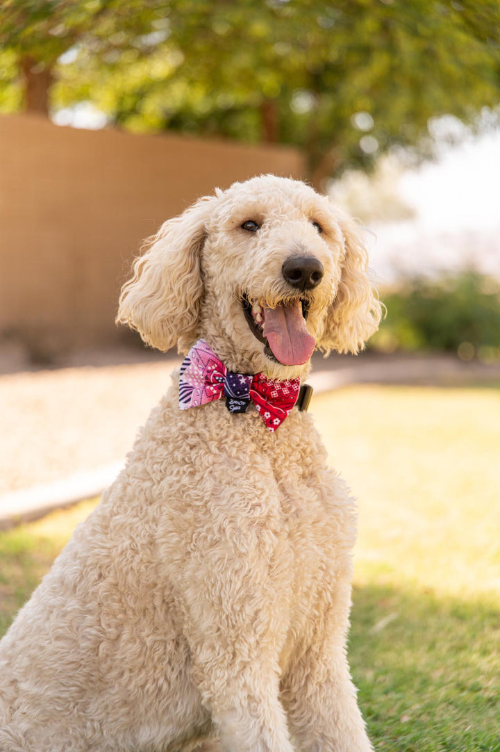 Red White and Blue Ombre Bow