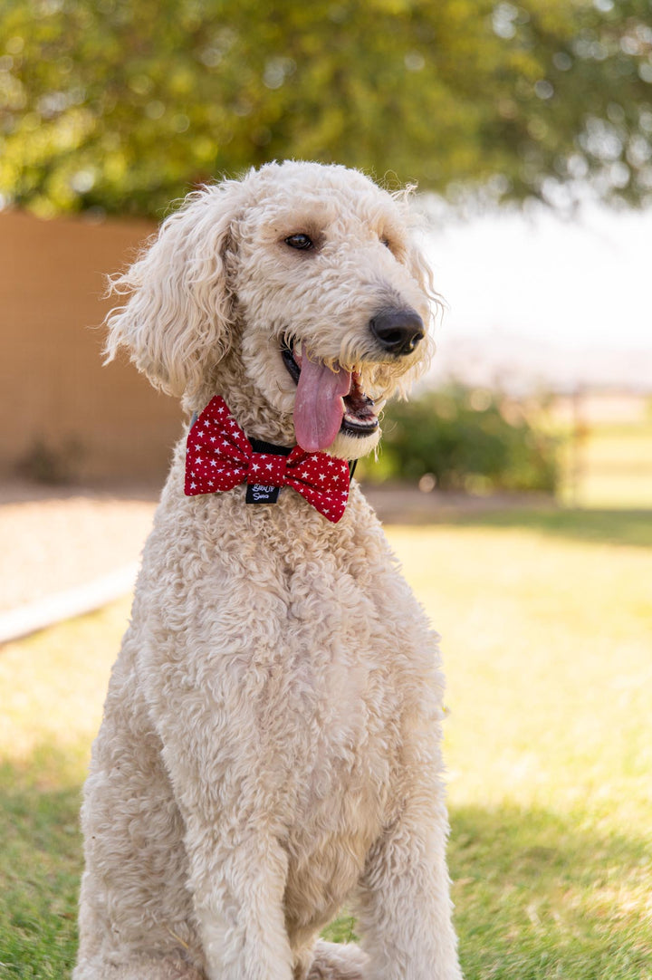 Red with White Stars Bow