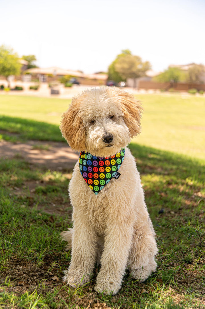 Pride Smilies Bandana