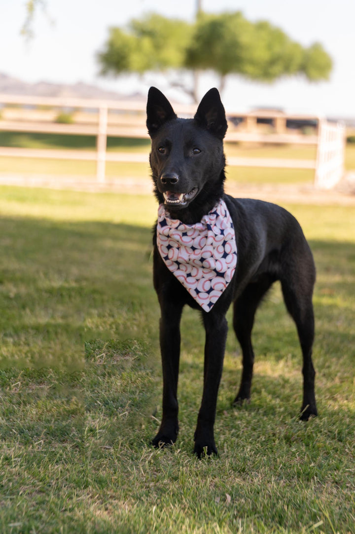 Take Me Out to the Ballgame Bandana