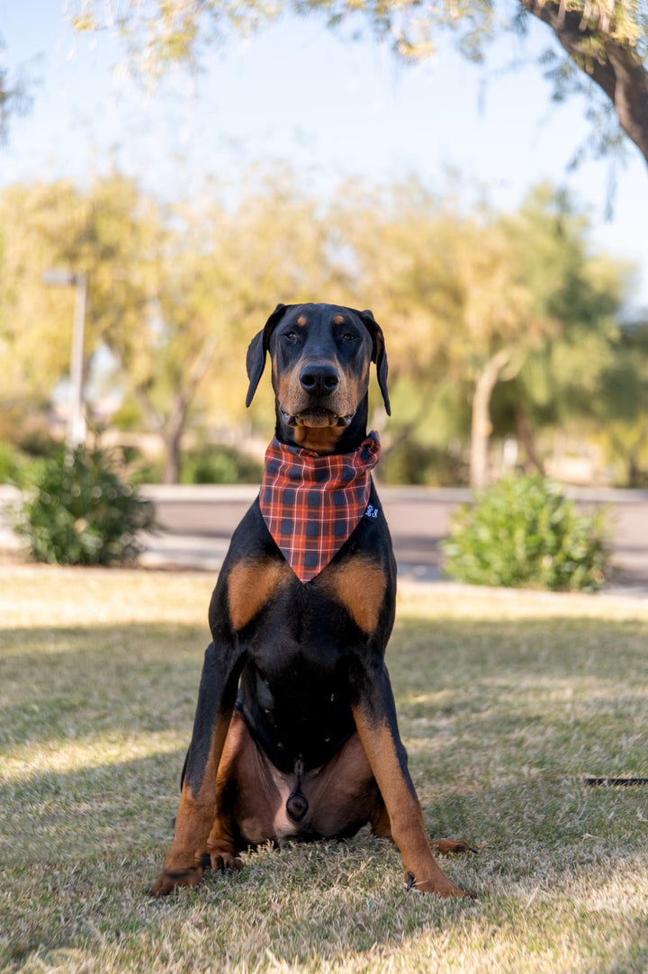 Thanksgiving Plaid